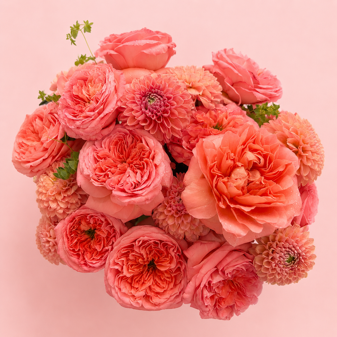 Coral Coast Petal Pop